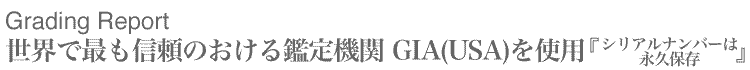 �Ӓ菑�ɂ��ābGIA�bAGT�b�_�C�������h�b�_�C�������h�̉��l�b��΁b�G���Q�[�W�����O�b�}���b�W�����O�b�_�C�������h�����O