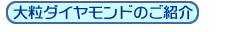 �嗱�_�C�����h�̂��Љ�