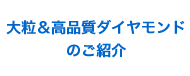 �嗱�����i���_�C�������h