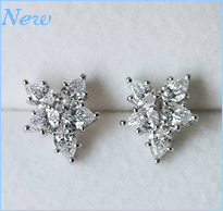 Pt 0.8ct