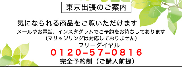 東京出張の案内