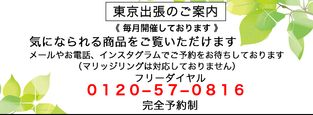 東京出張の案内