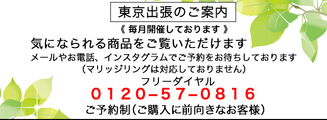 東京出張の案内