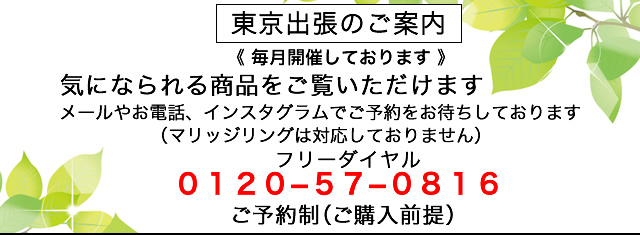 東京出張の案内